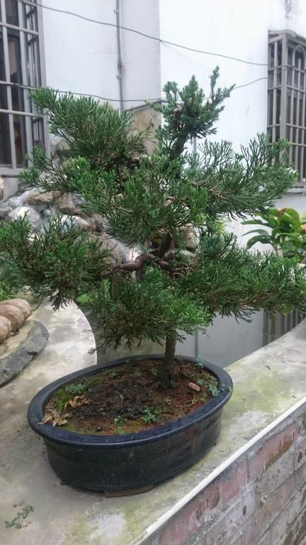 吾居吾宿 Zhixue Dış mekan fotoğraf