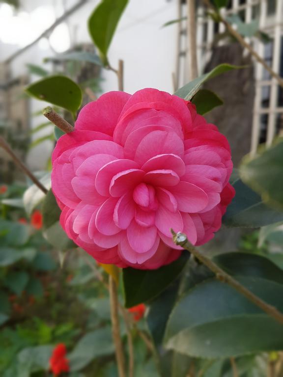 吾居吾宿 Zhixue Dış mekan fotoğraf
